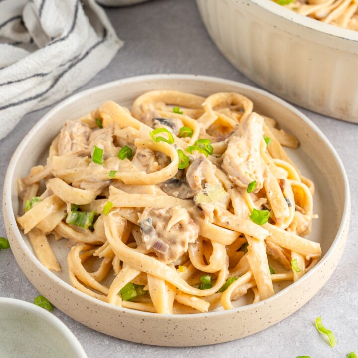 A plate with rotisserie chicken stroganoff garnished with sliced green onion. The plate is on a white counter with a baking dish of additional stroganoff.
